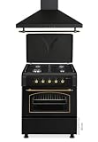 PACK AHORRO COCINA GAS F6S40G2 + CAMPANA HS60PR / ESTILO RUSTICO NEGRO CON RIBETES DORADOS/ANCHO 60 CM/FUEGOS CON ENCENDIDO AUTOMATICO/HORNO 60 L.