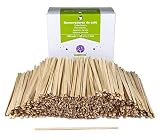 GoBeTree 1000 Palitos Café Desechables de Madera 14 cm, Paletinas a Granel